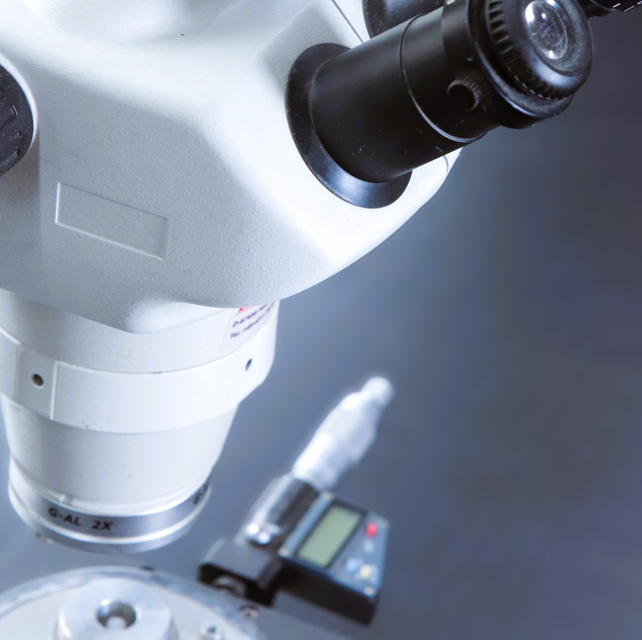 prinzUeberUns » %sitename -% » 2025